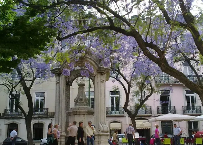 Apartamento Condessa Vintage Chiado